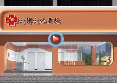 江西南昌寵物醫(yī)院設計全景案例